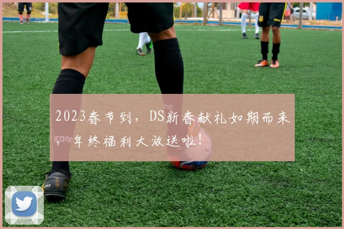 2023春节到，DS新春献礼如期而来，年终福利大放送啦！